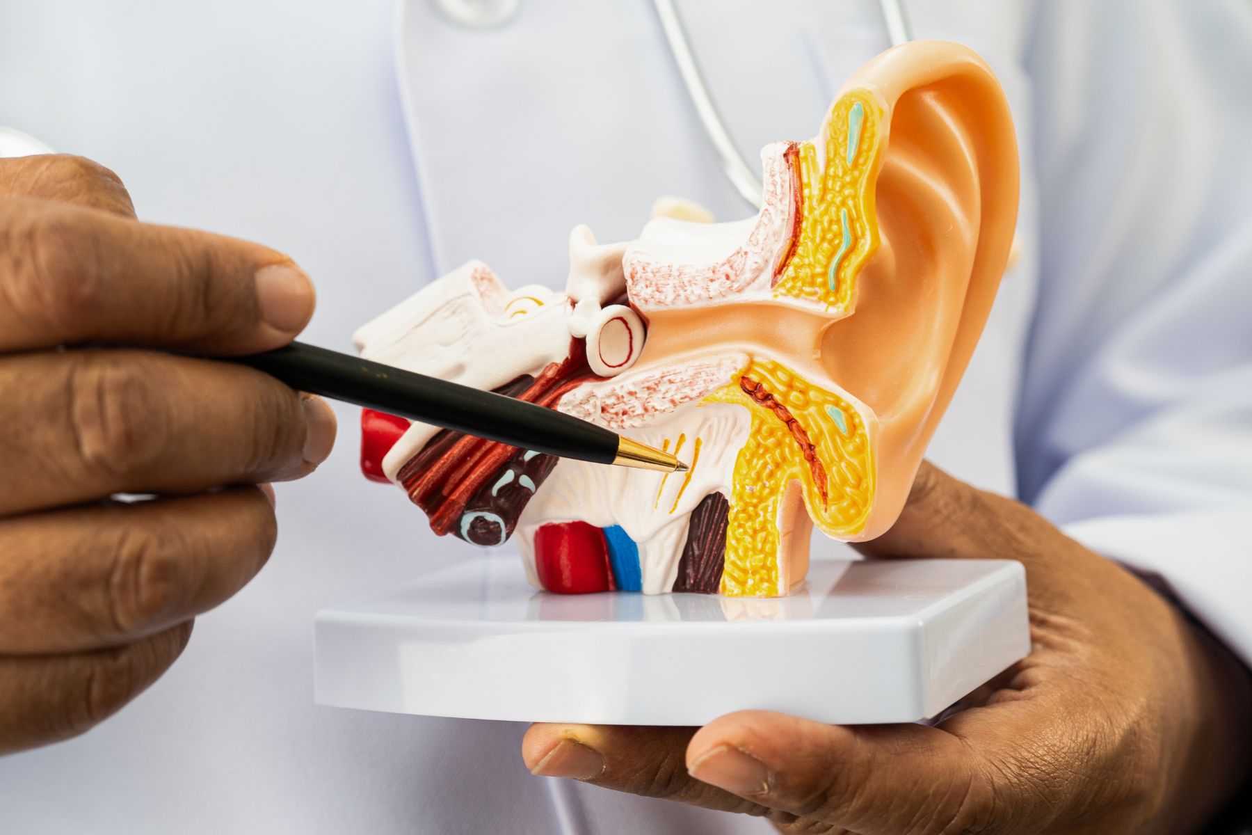 Lavado de Oídos en Houston: Todo lo que Necesitas Saber para una Audición Saludable